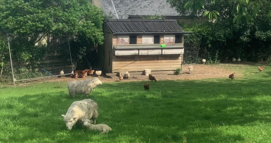 Twelve Oaks Farm Caravan Park
